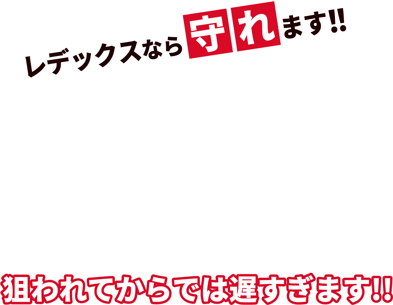 レデックスのセキュリティ:レデックスなら守れます。狙われてからでは遅すぎます!!